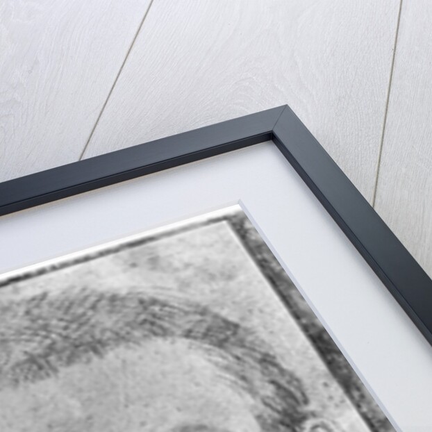 Self portrait by Annibale Carracci