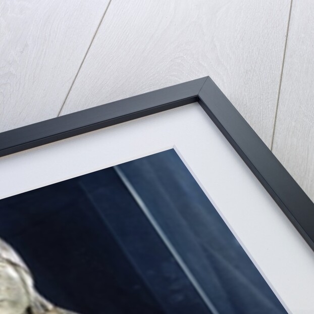 Virgin and Child in Majestd, from Forez by French School