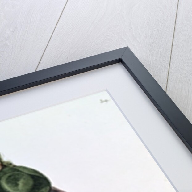 Ducroisy in the title role of Tartuffe in 1668 by Hippolyte Lecomte