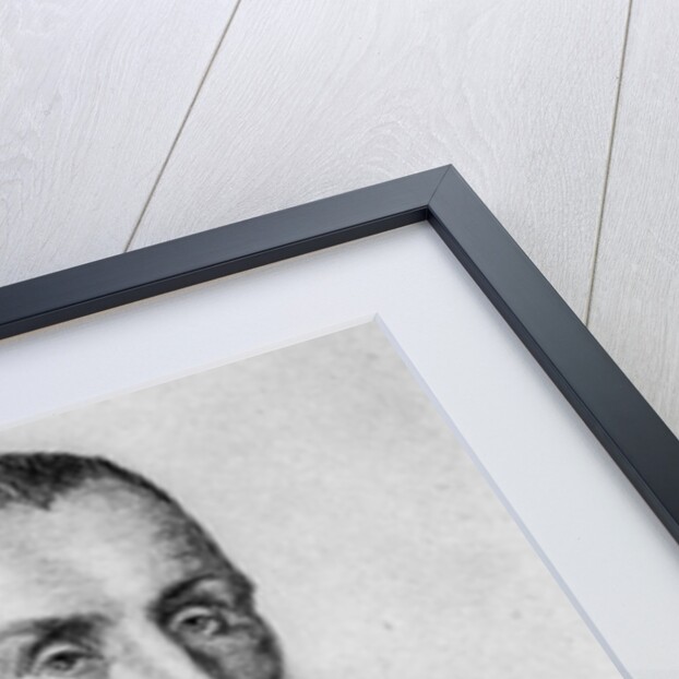 Sebastien Castellion by Jean Paul Laurens