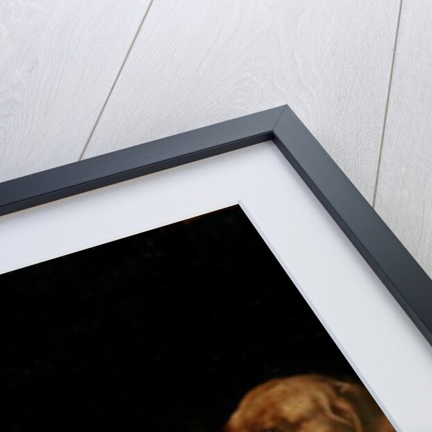 The Dwarf of Cardinal Granvelle, c.1560 by Anthonis van Dashorst Mor