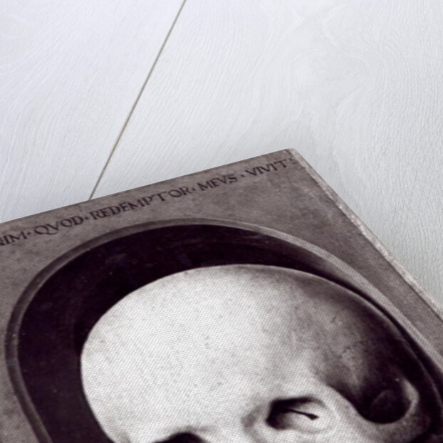 Skull by Hans Memling