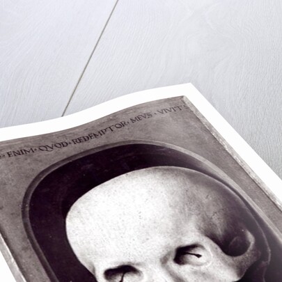 Skull by Hans Memling