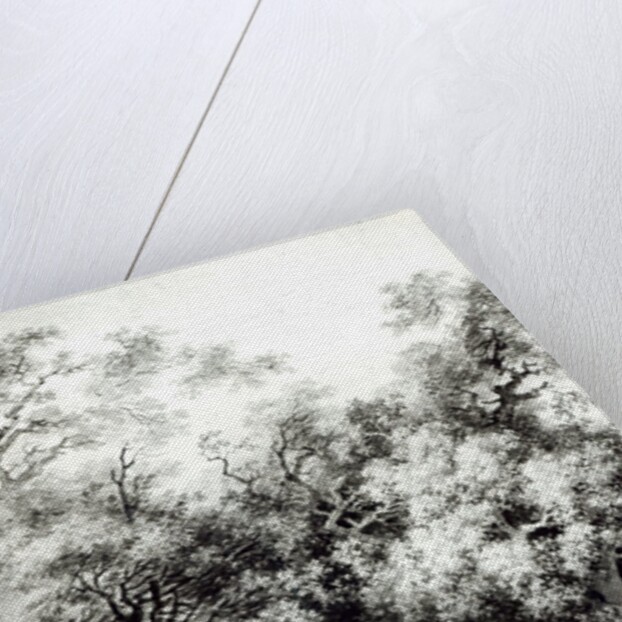 The shady alley, c.1773-74 by Jean-Honore Fragonard