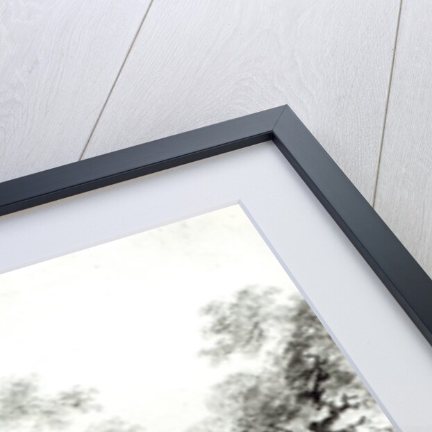 The shady alley, c.1773-74 by Jean-Honore Fragonard