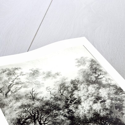 The shady alley, c.1773-74 by Jean-Honore Fragonard