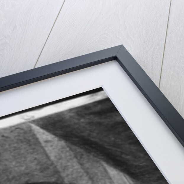 Portrait of a Young Artist, engraved by Johannes Meyssens by Michiel van (after) Musscher