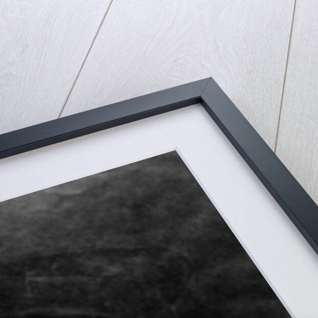 Self Portrait by Lucas van Leyden