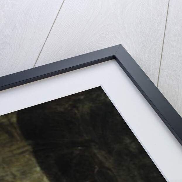 An Astronomer by Francois Eisen