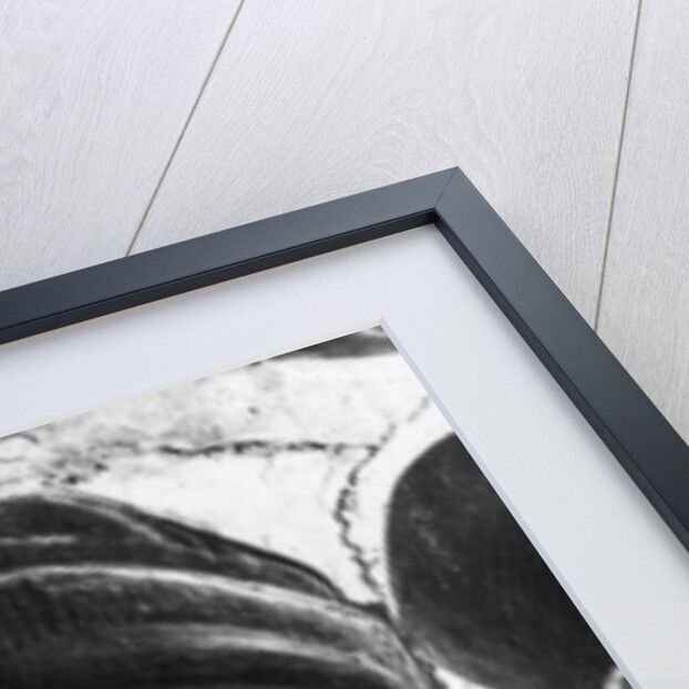 Self Portrait by Luca Signorelli