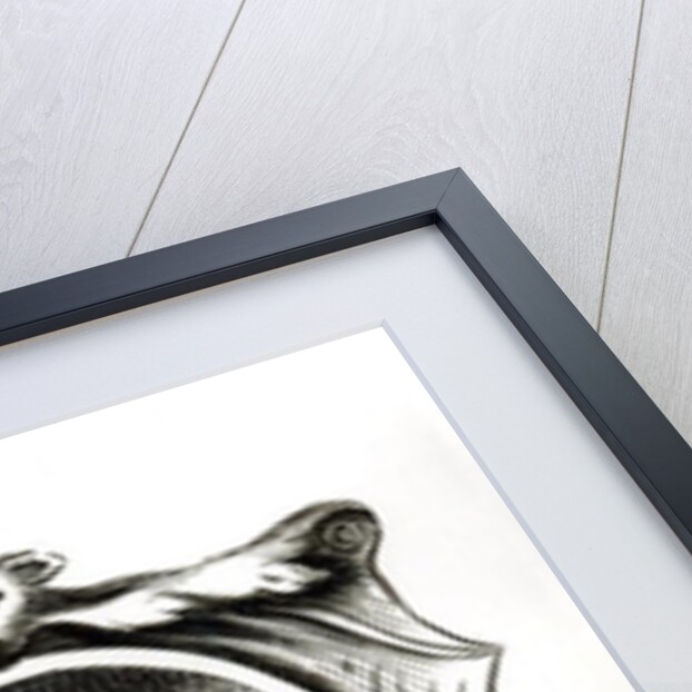 Portrait of Fra. Bartolomeo di San Marco by School Italian