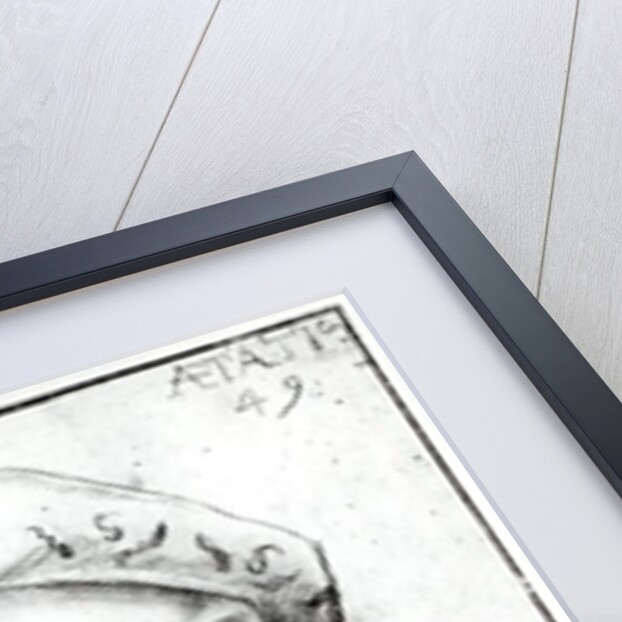 Self Portrait by Hans Baldung Grien