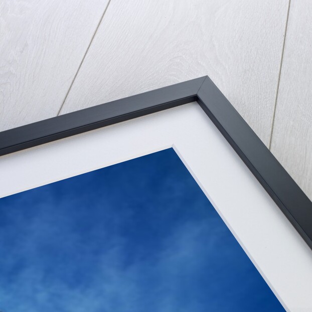 Swamyambunath Stupa by Nepalese School