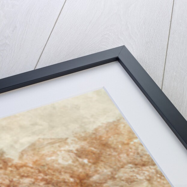 Gardens of the Villa d'Este by Jean-Honore Fragonard