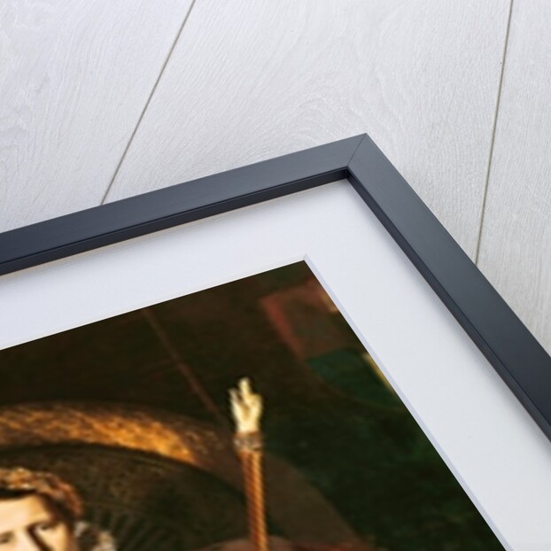 Napoleon I on the Imperial Throne, 1806 by Jean Auguste Dominique Ingres