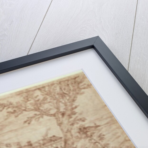 Landscape with a Dragon and a Nude Woman Sleeping by Titian (c.1488-1576)