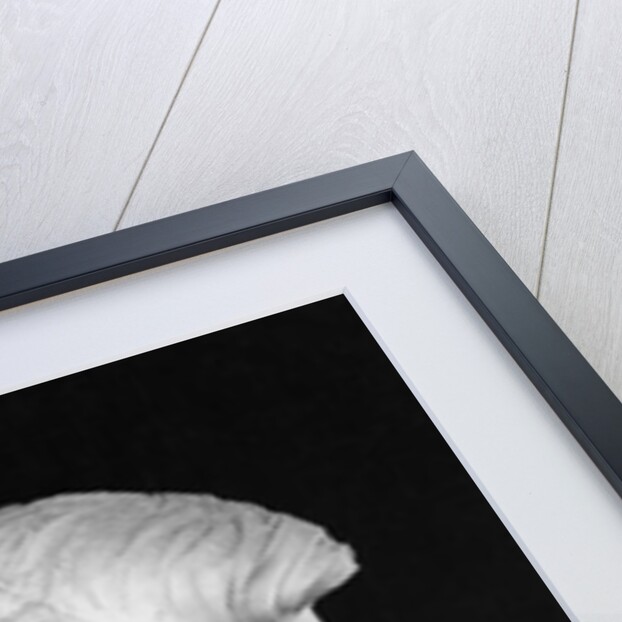 Jacques Maritain by French School