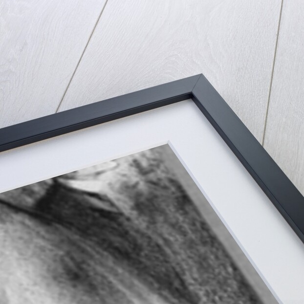 Jules Guesde by Alphonse Leon Noel