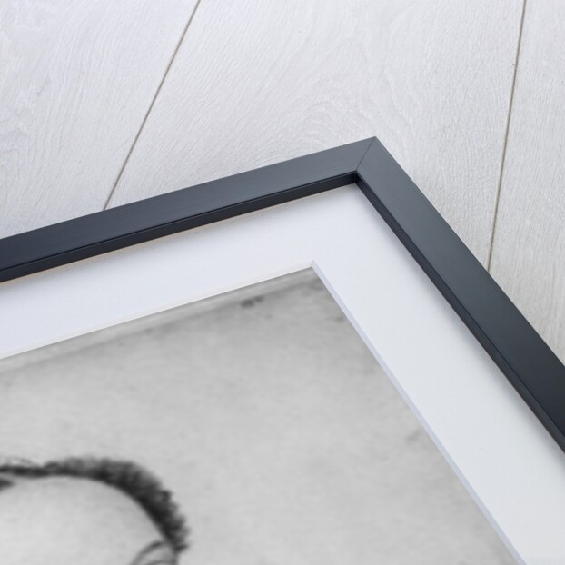 Mary Queen of Scots, 1559 by Francois Clouet