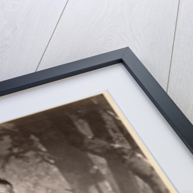 Young Burmese girl, c.1880 by Colin Roderick (attr. to) Murray