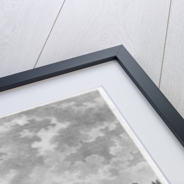 View of Hopital La Salpetriere, transport of prostitutes, Paris by French School