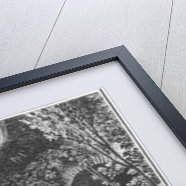 Illustration from 'The Sorrows of Werther' by Johann Wolfgang Goethe engraved by E. Deghent by Jean Michel the Younger Moreau