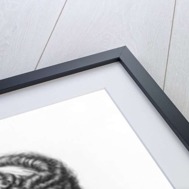 Charlotte von Stein, born von Schardt, late 18th century-early 19th century by School German