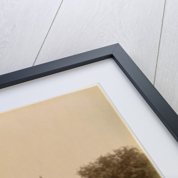 King Thibaw Min's School Now Used as a Church, 1888-93 by Felice (1825-c.1908) Beato