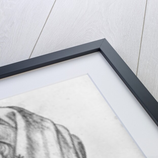 Ms 266 fol.30 John III the Pitiless, Duke of Bavaria-Straubing by Flemish School