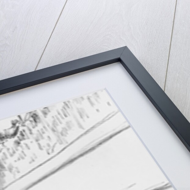 Series 'Actualites', Parisians already taking their precautions to avoid being roasted by the comet by Honore Daumier