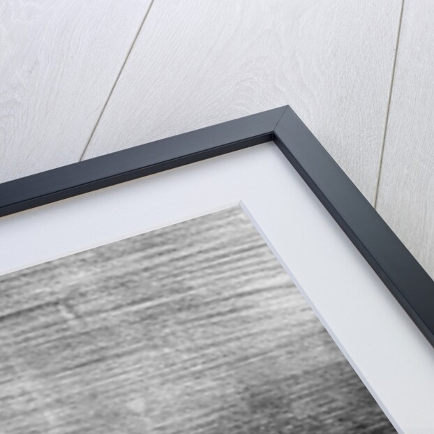 eries 'La Comete de 1857', The German astronomer releasing a famous duc by Honore Daumier