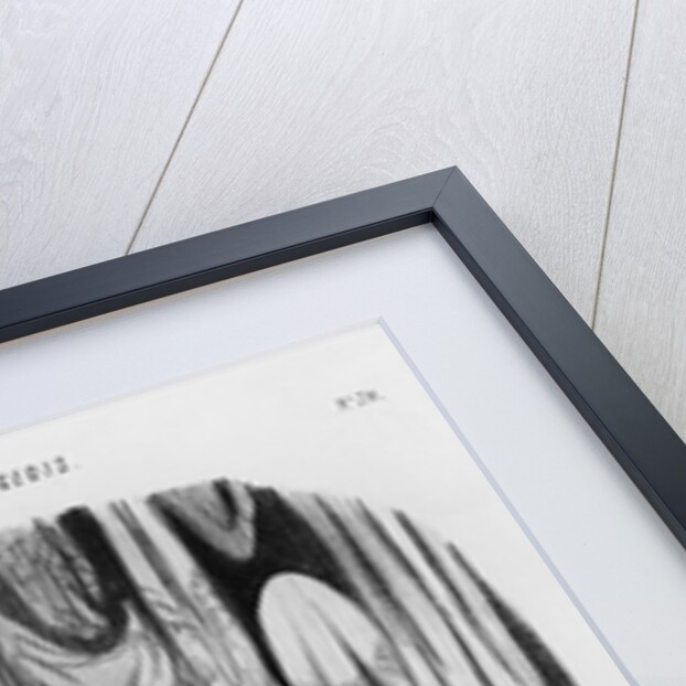 Series 'Les Bons Bourgeois', Come along, I am telling you the scarf you have at home is much more beautiful by Honore Daumier