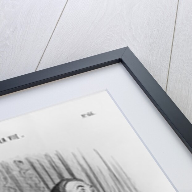 Series 'Les beaux jours de la vie', A new nobleman, plate 66 by Honore Daumier