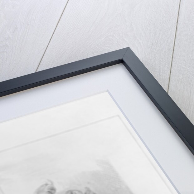 A box at the Theatre Italien by Paul Gavarni