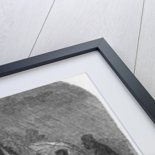 The Bastille omnibus by Gustave Dore