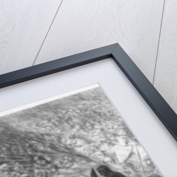 Battle scene by Gustave Dore