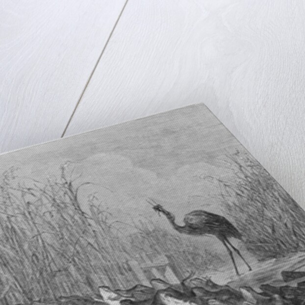 The frogs asking for a king by Gustave Dore