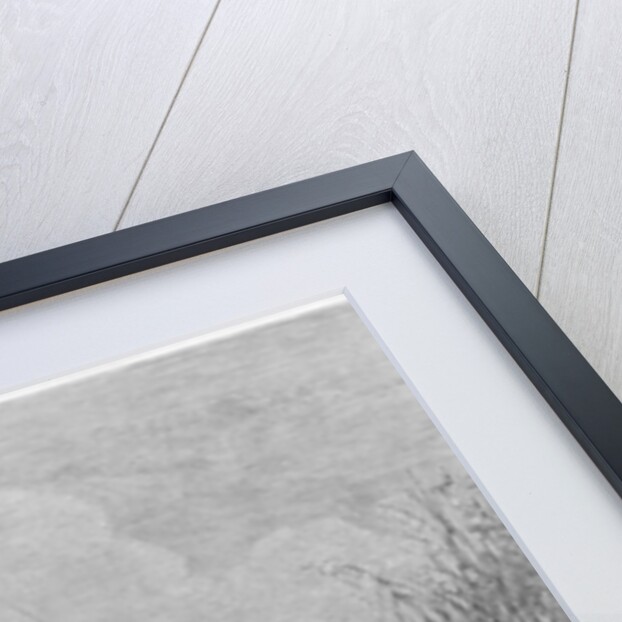 The frogs asking for a king by Gustave Dore