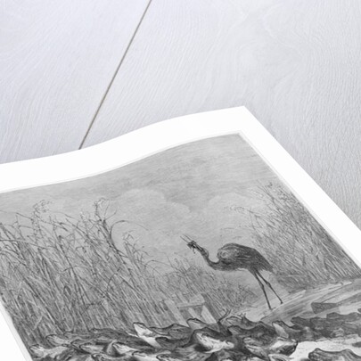 The frogs asking for a king by Gustave Dore