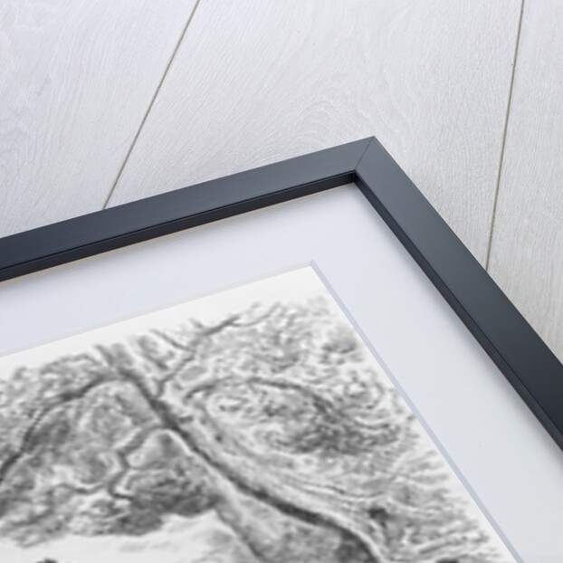 Spanish Contrabandista of Ronda and his Maja, engraved by Felix Jean Gauchard by Gustave (after) Dore