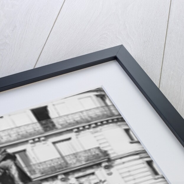 Monument to Alexandre Dumas Pere, 1883 by Gustave Dore