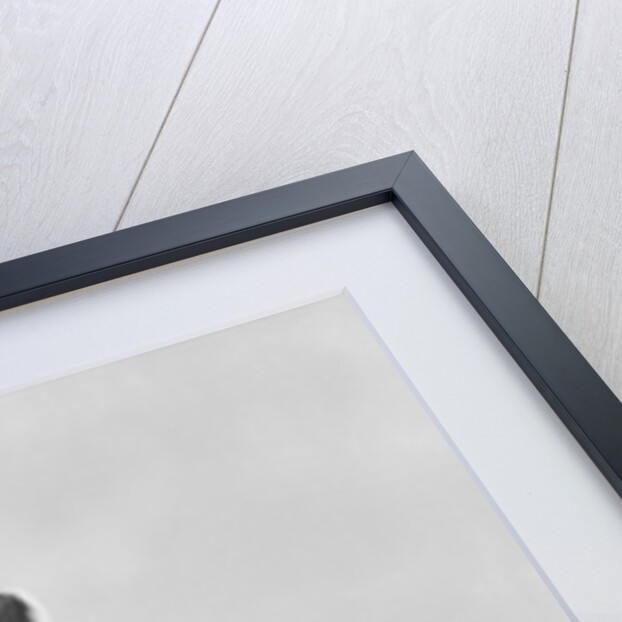 City of Strasbourg by James Pradier