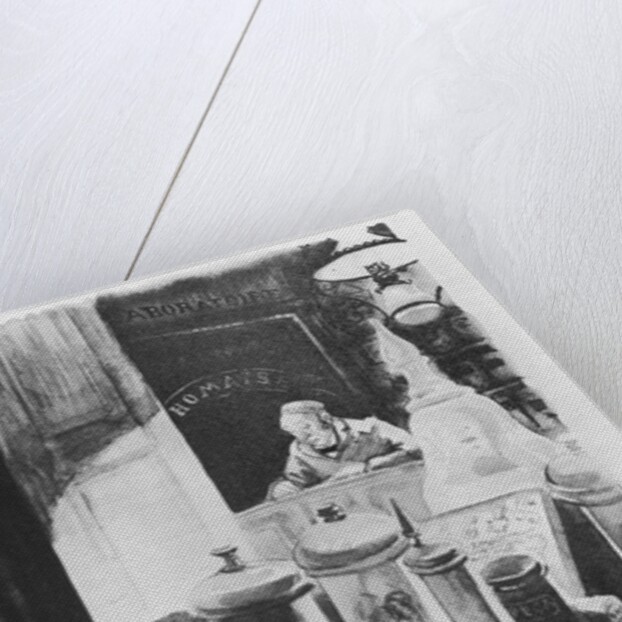 The Pharmacist Homais by French School