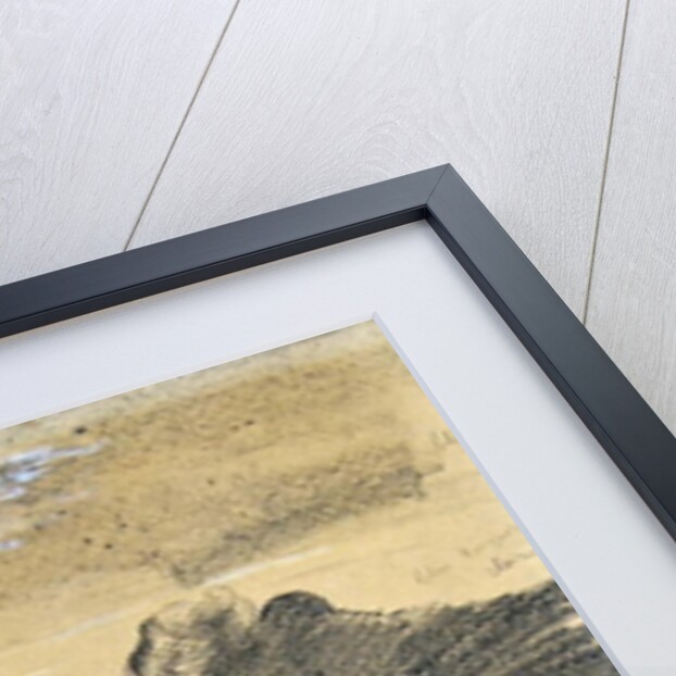 Jeanne Hugo and Jean Charcot at Hauteville House, Guernsey by Paul Cesar Helleu