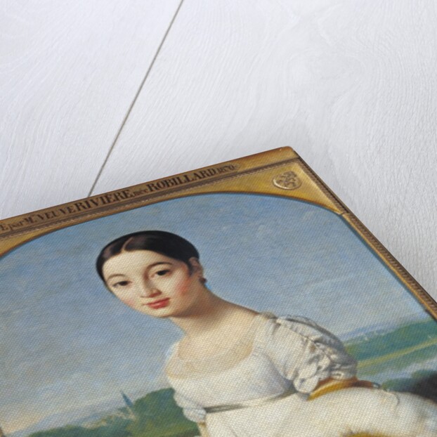 Portrait of Mademoiselle Caroline Riviere 1805 by Jean Auguste Dominique Ingres