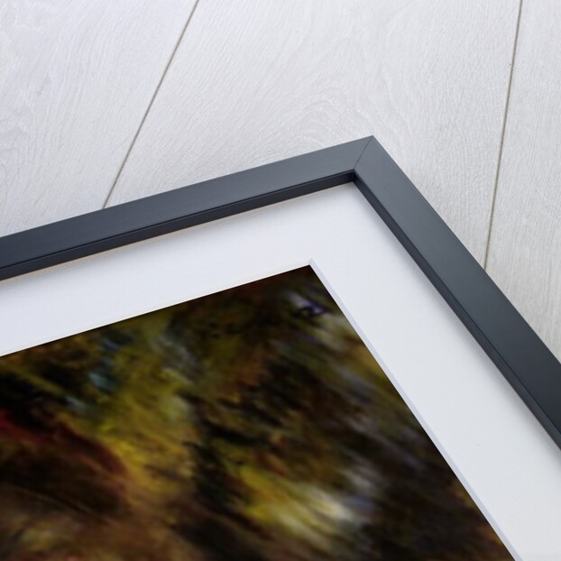 Madame Georges Charpentier, c.1876-7 by Pierre Auguste Renoir