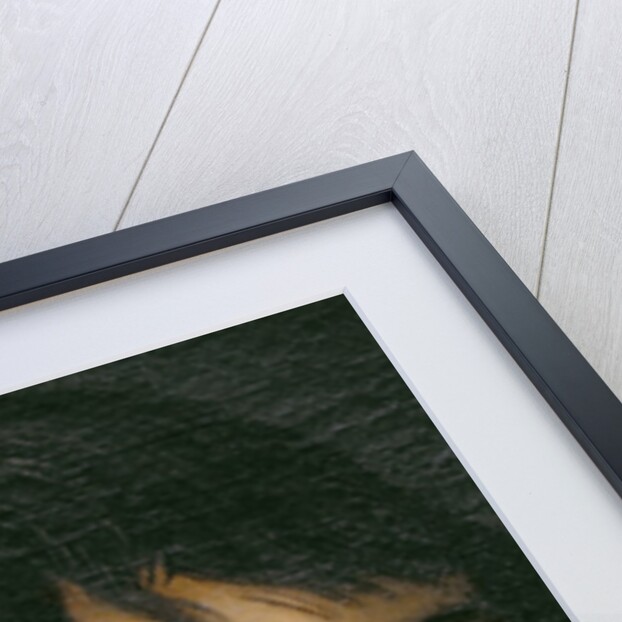 Portrait of Rene Descartes c.1649 by Frans Hals