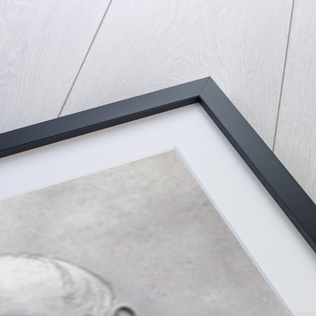 Portrait of Victor-Louis-François February by Eugene Pirou