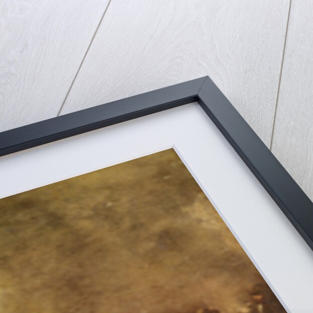 Battle by Jacques Courtois