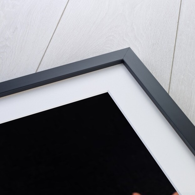 Honore Gabriel Riqueti Count of Mirabeau, c.1790 by Francois Louis Lonsing